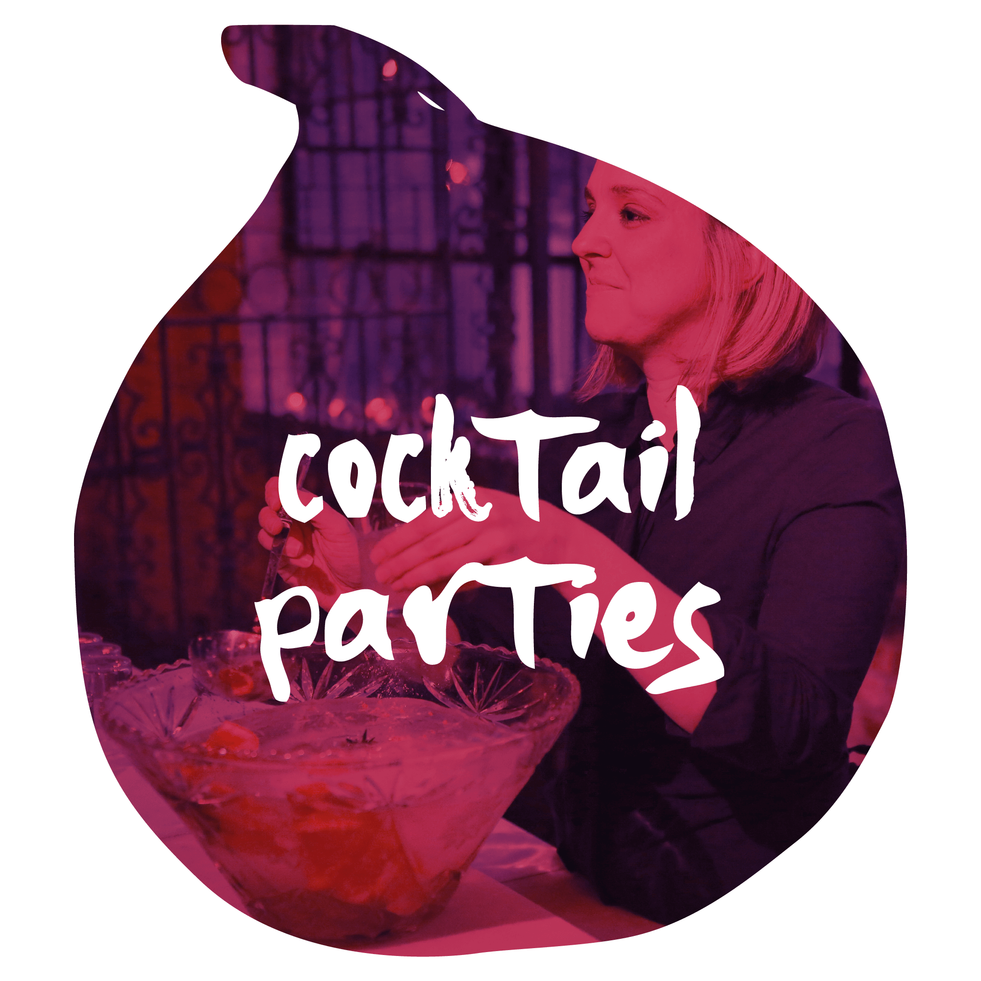 Cocktail Party Services